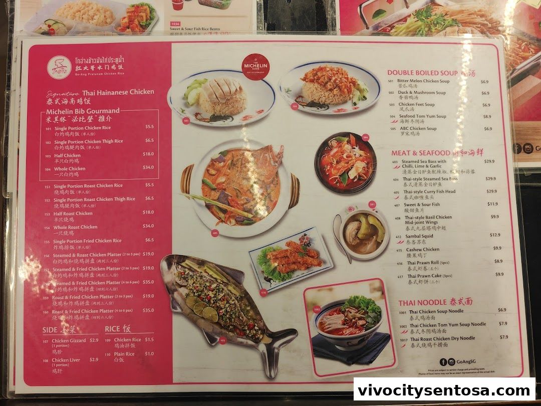 Go-Ang Pratunam Chicken Rice VivoCity