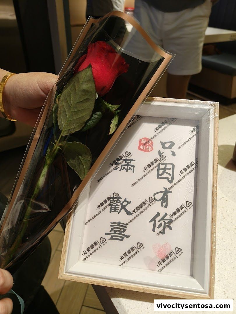 海底捞 Haidilao Hot Pot VivoCity