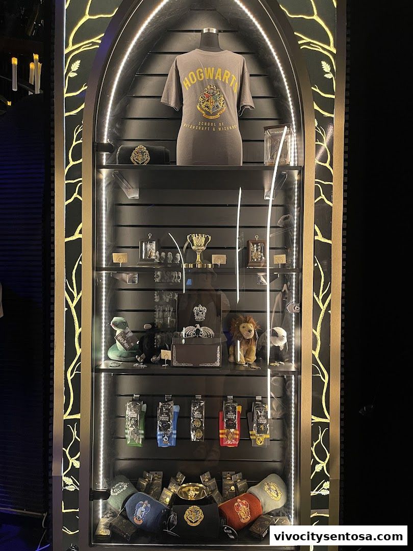Harry Potter Visions of Magic Singapore