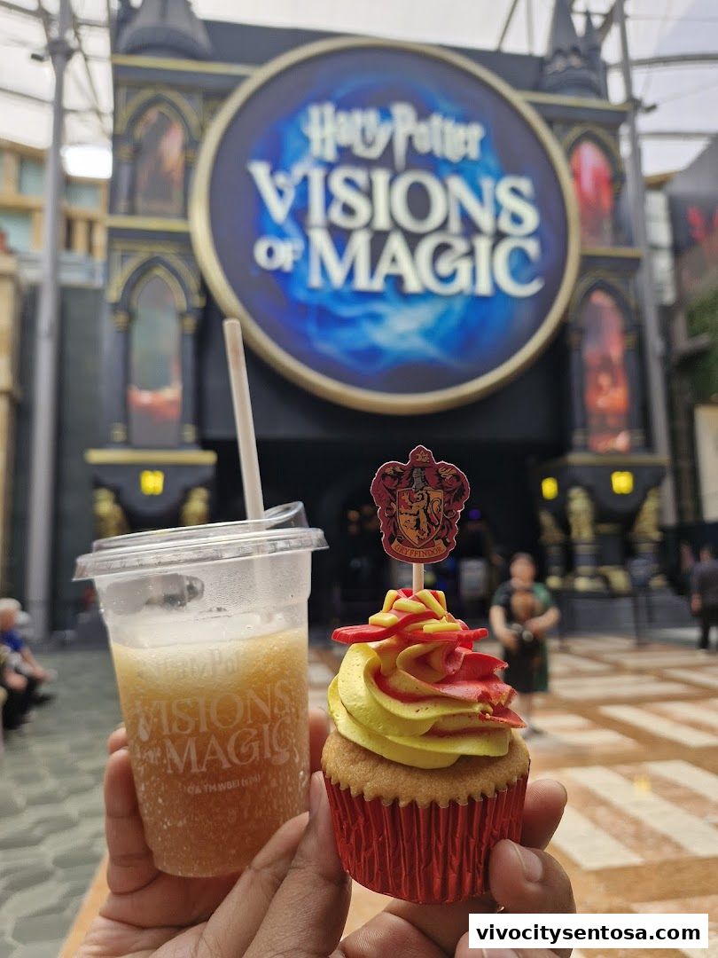 Harry Potter Visions of Magic Singapore