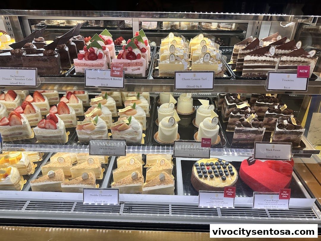 Henri Charpentier Vivocity