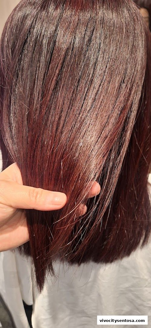 Jean Yip Hairdressing VivoCity