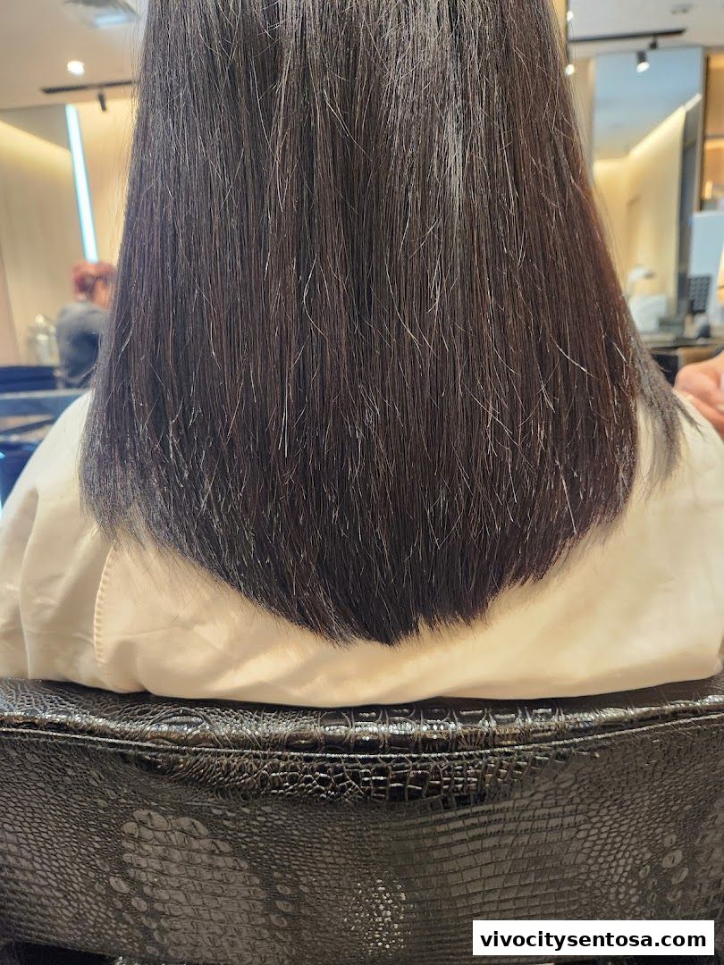 Jean Yip Hairdressing VivoCity