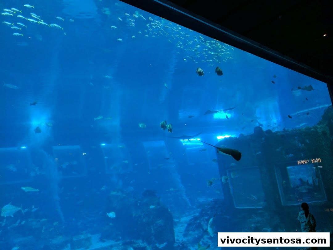 Marine Life Park