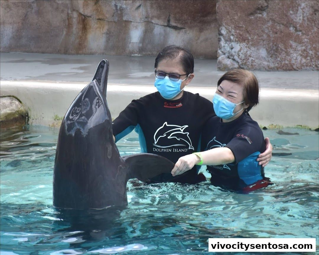 Marine Mammal Habitat