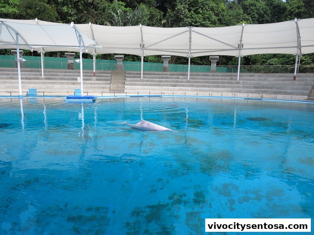 Marine Mammal Habitat