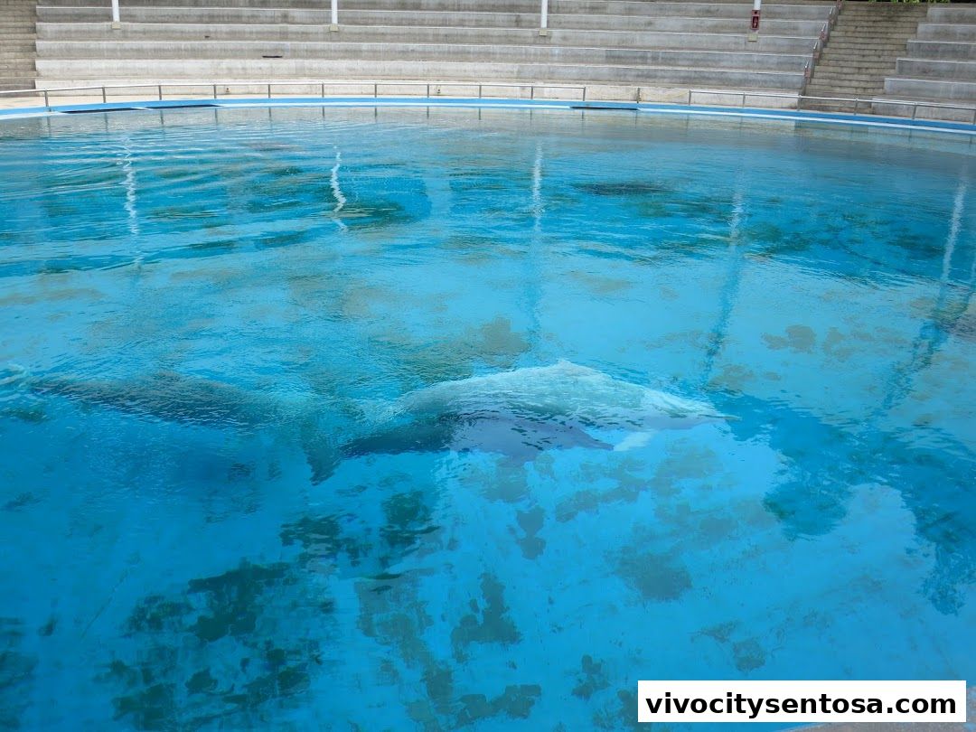 Marine Mammal Habitat