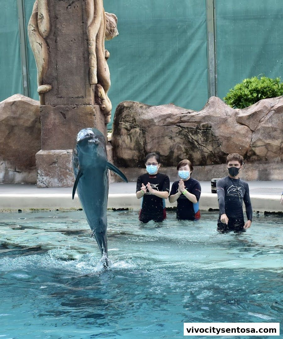 Marine Mammal Habitat