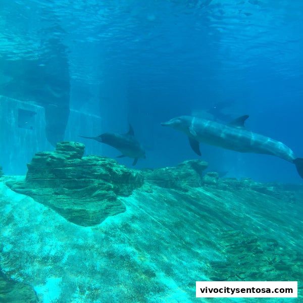 Marine Mammal Habitat