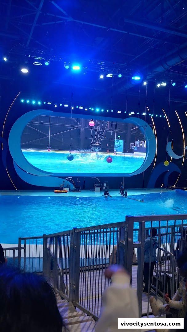 Marine Mammal Habitat