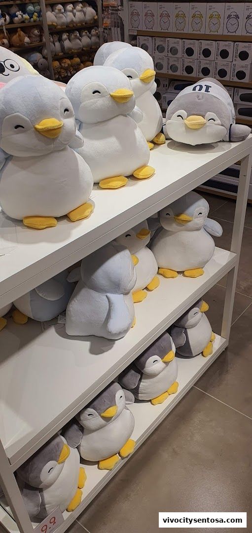 Miniso Vivocity