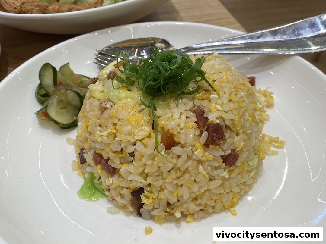 Moon Moon Food VivoCity