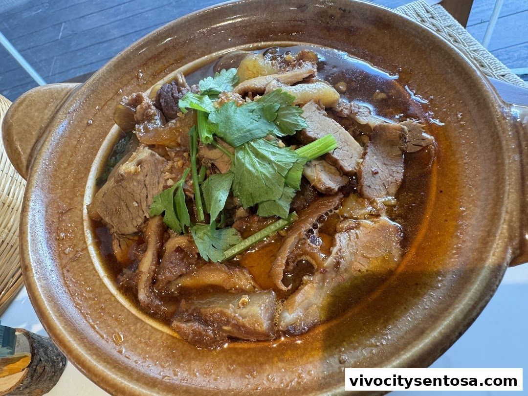 Mr Hainan VivoCity 海南先生