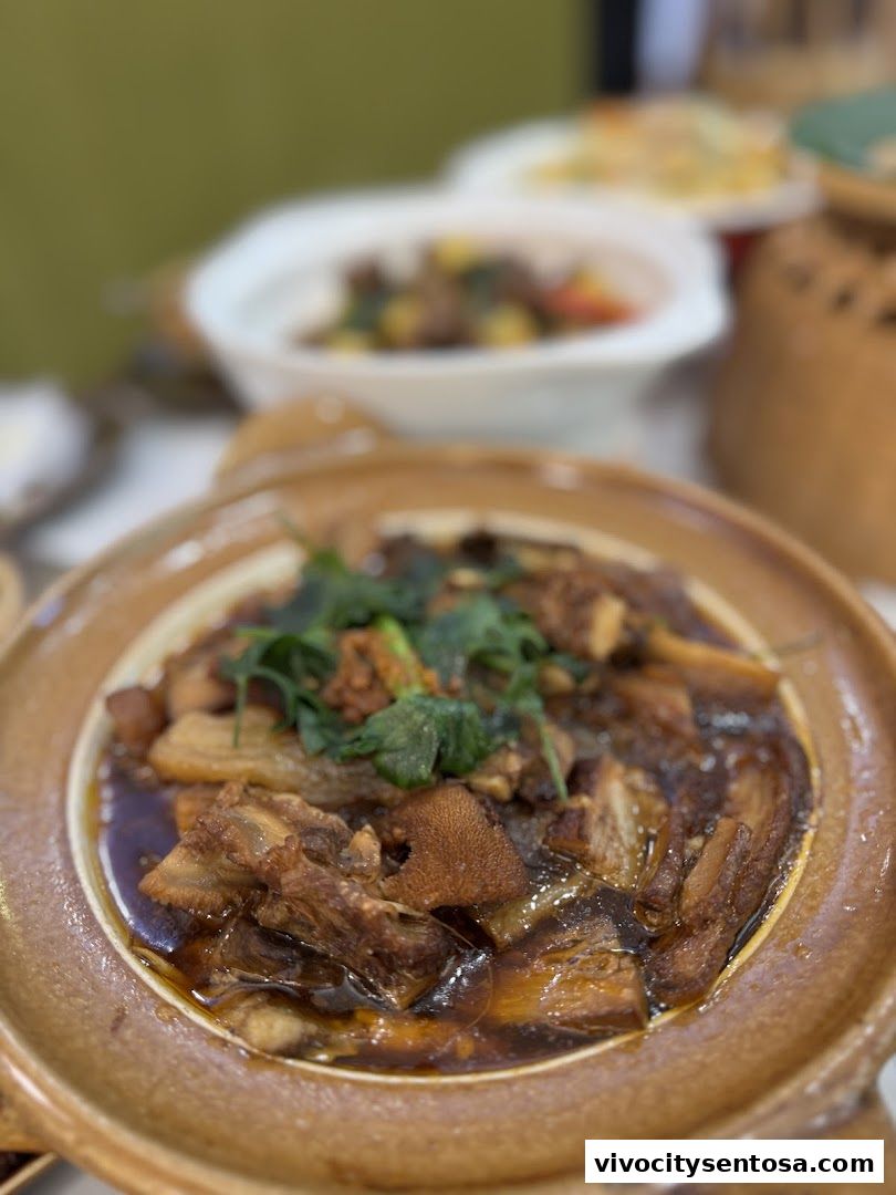 Mr Hainan VivoCity 海南先生