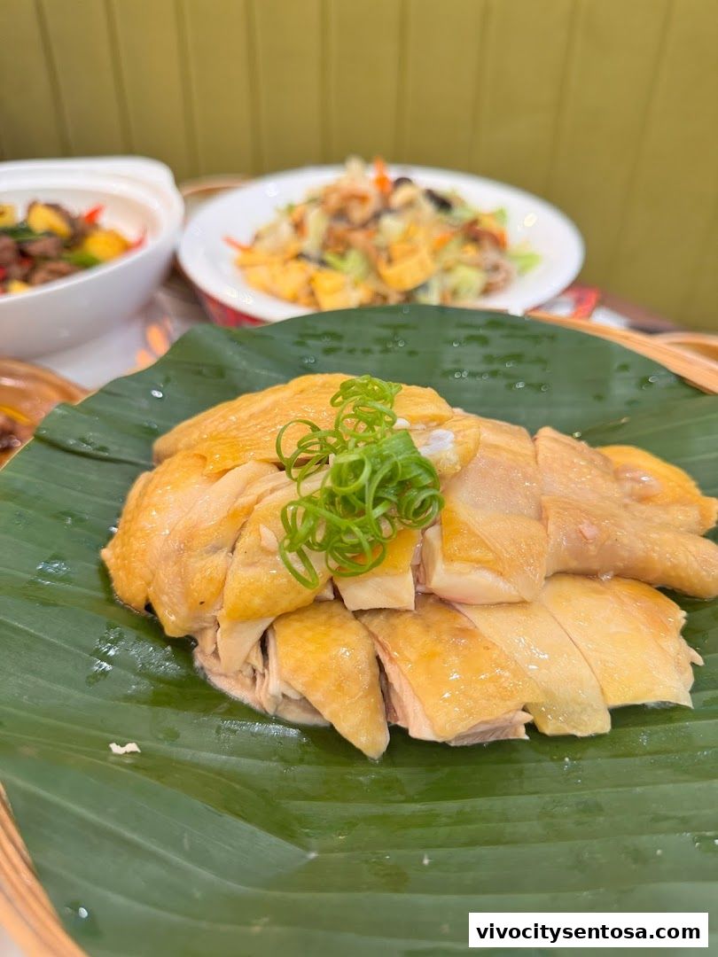 Mr Hainan VivoCity 海南先生