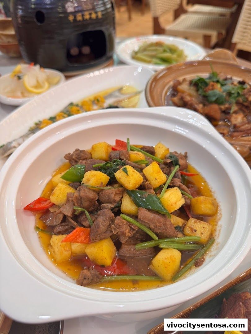 Mr Hainan VivoCity 海南先生