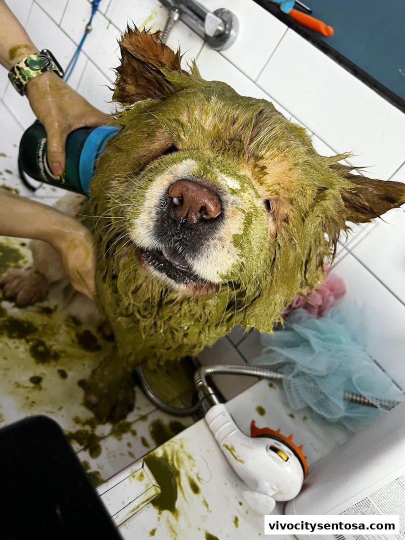 Petpawroni Sentosa Cove