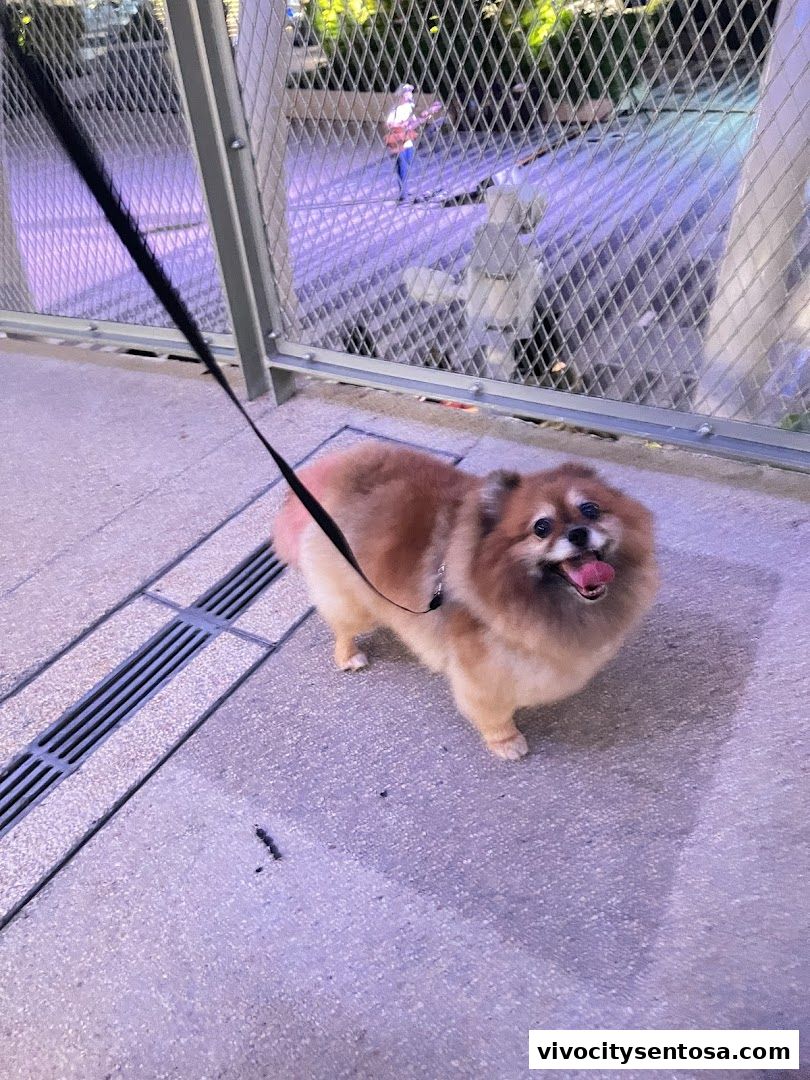 Petpawroni Sentosa Cove