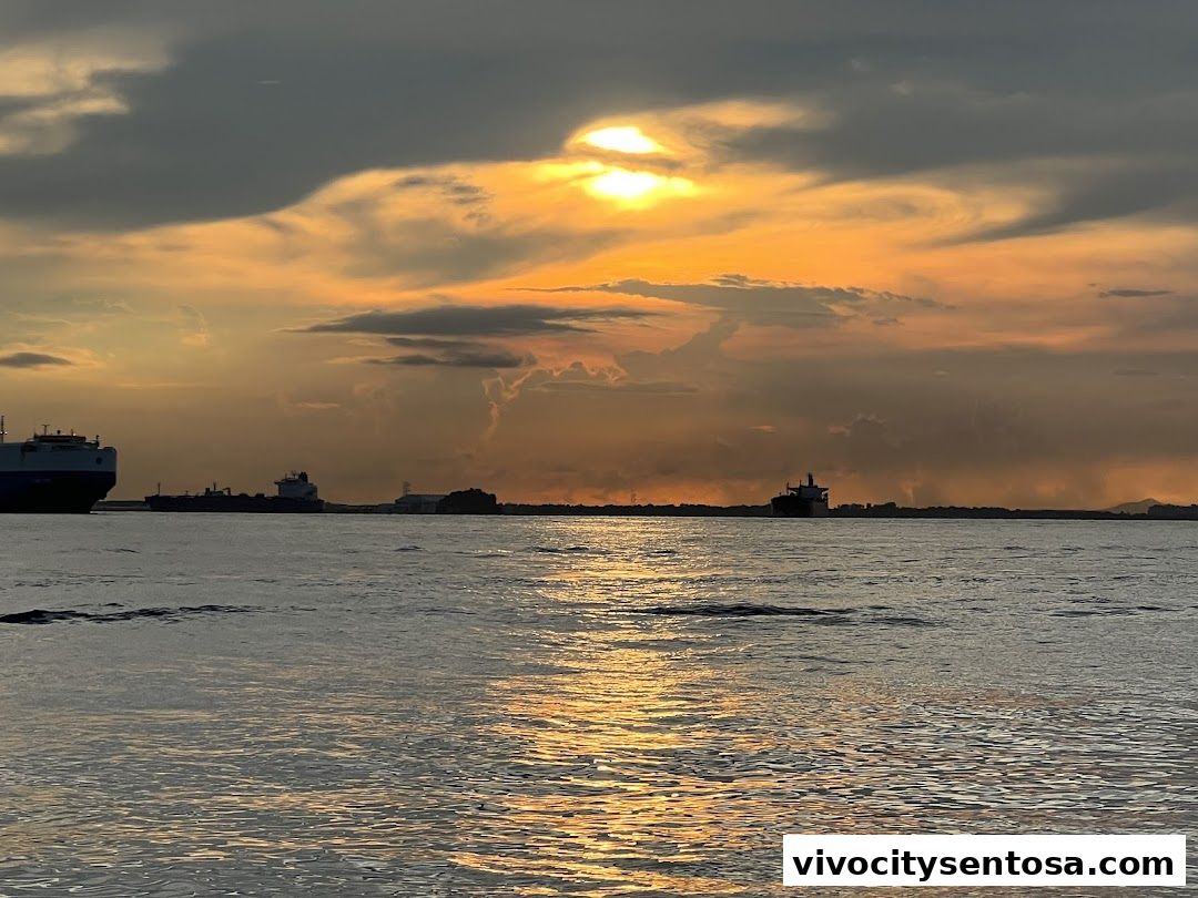 Royal Albatross - Luxury Tall Ship