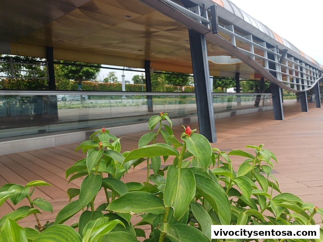 Sentosa Boardwalk