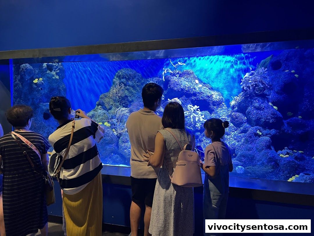 Singapore Oceanarium