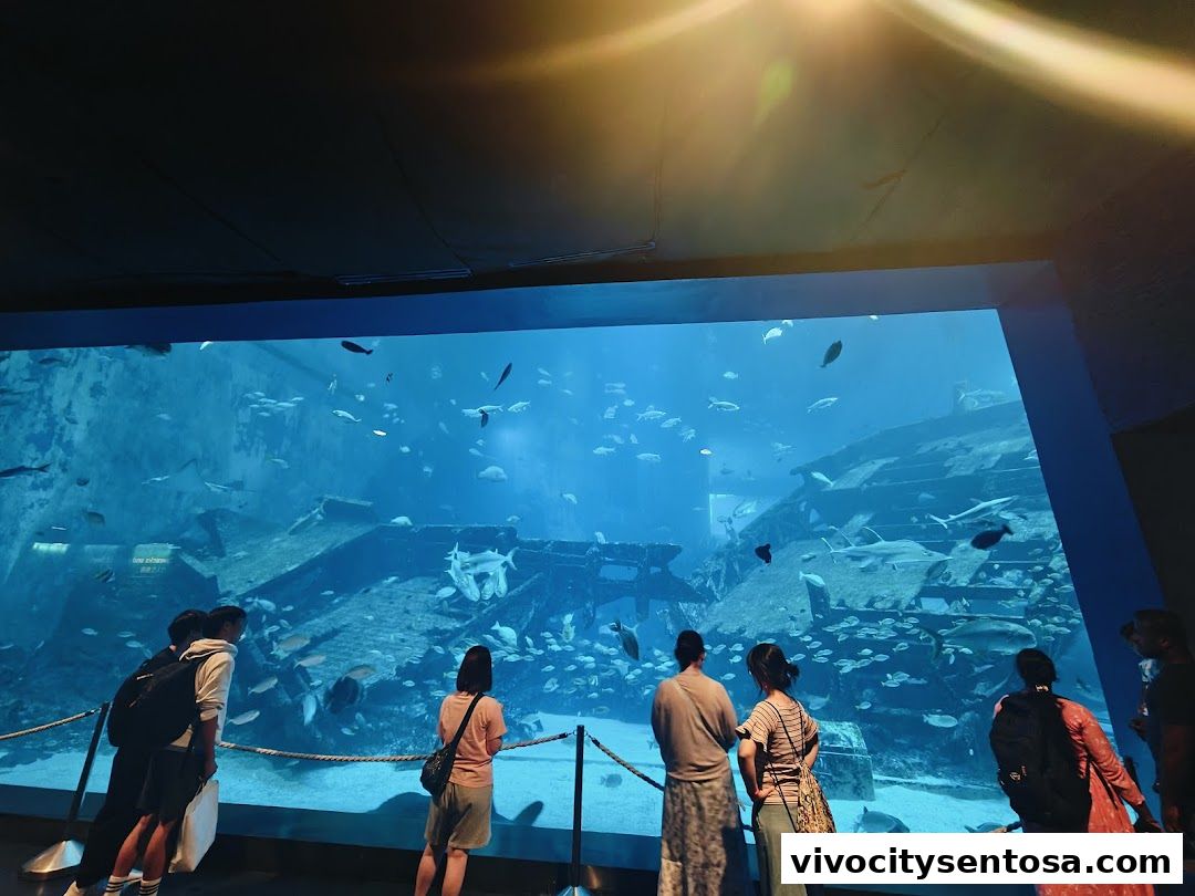 Singapore Oceanarium