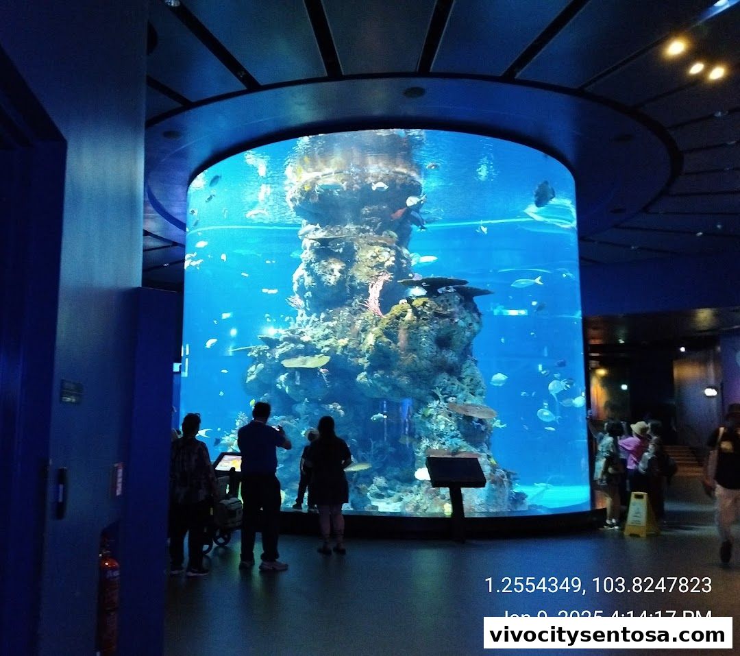 Singapore Oceanarium