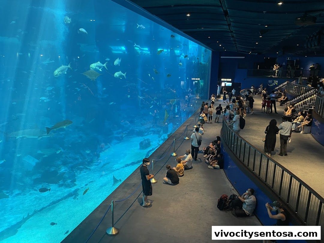 Singapore Oceanarium