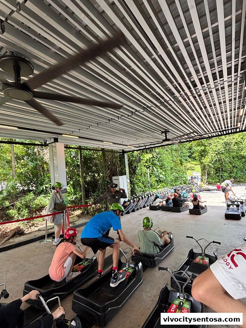 Sky Luge Singapore
