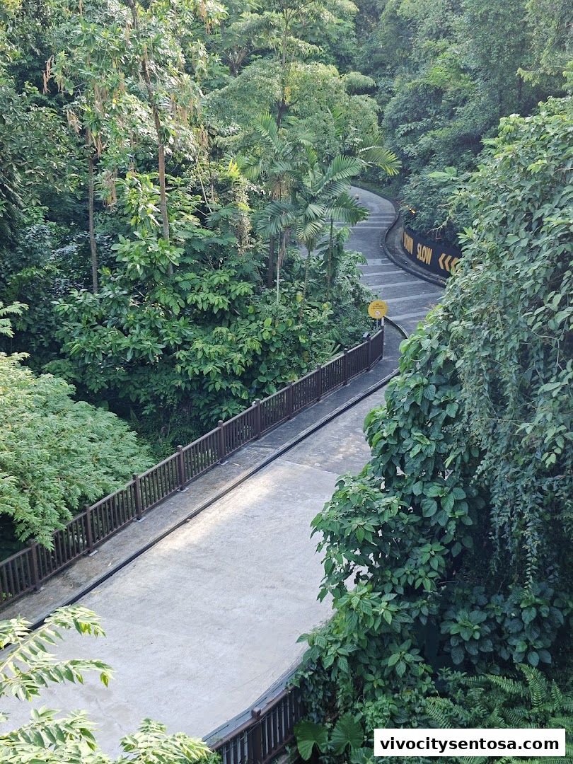 Sky Luge Singapore