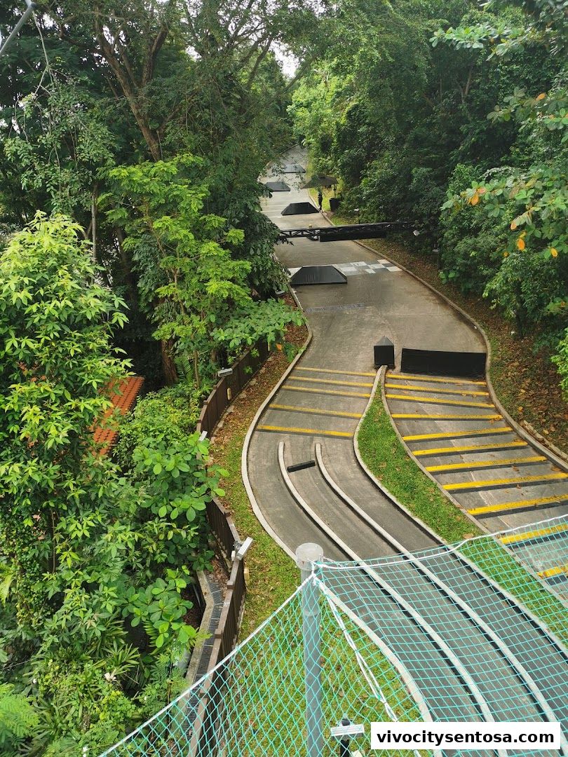 Skyline Luge Singapore