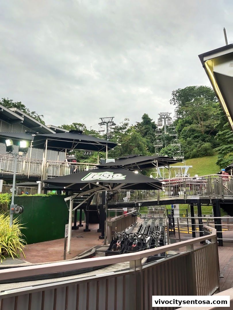 Skyline Luge Singapore
