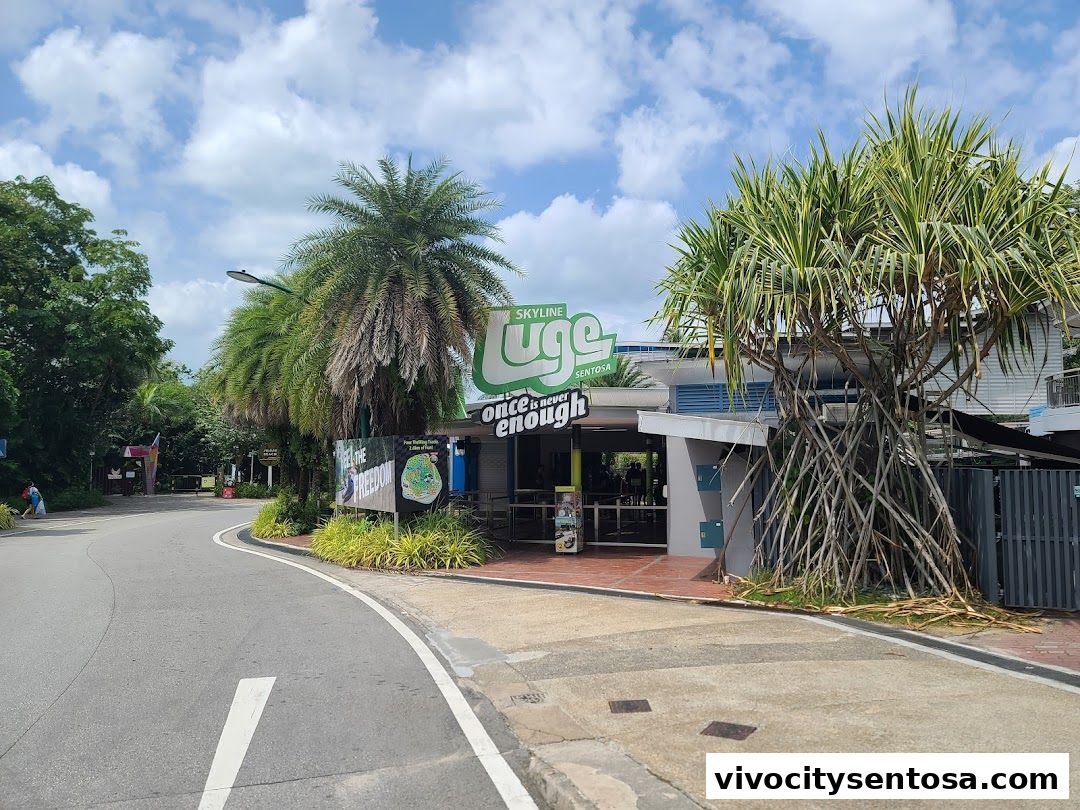 Skyline Luge Singapore