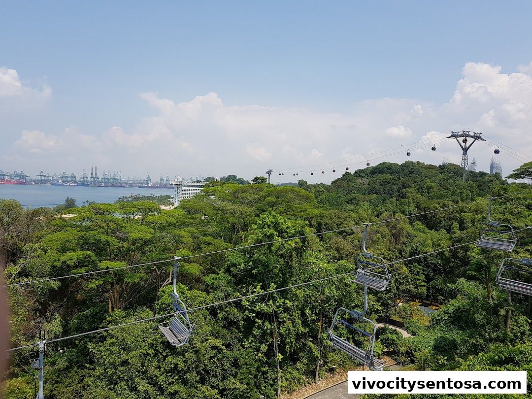Skyline Luge Singapore