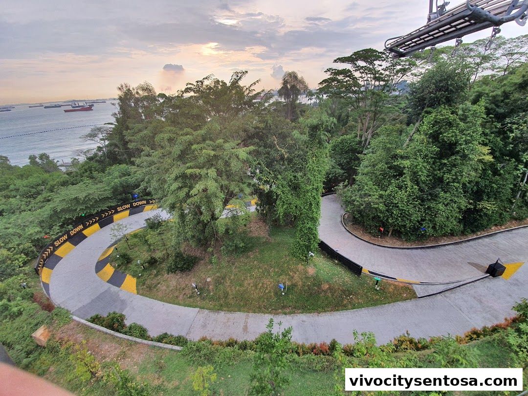 Skyline Luge Singapore