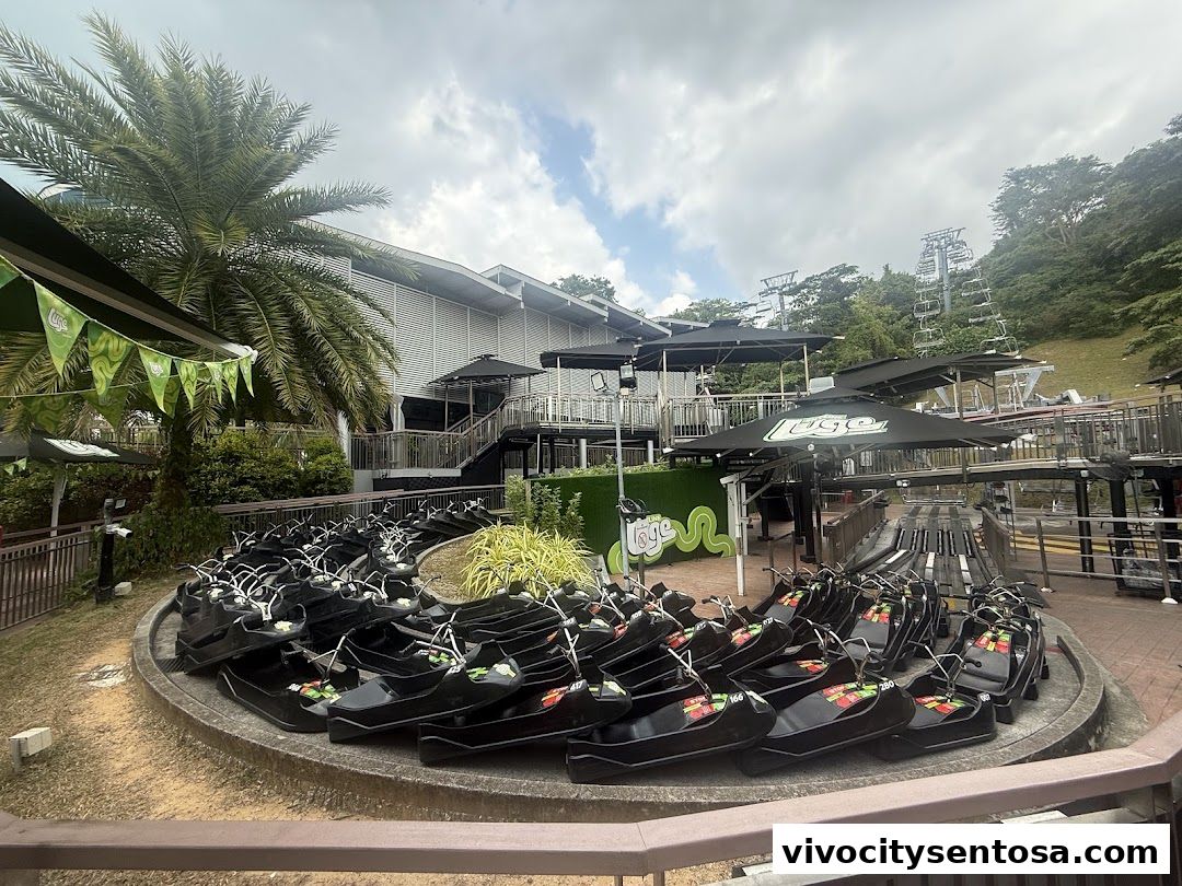 Skyline Luge Singapore
