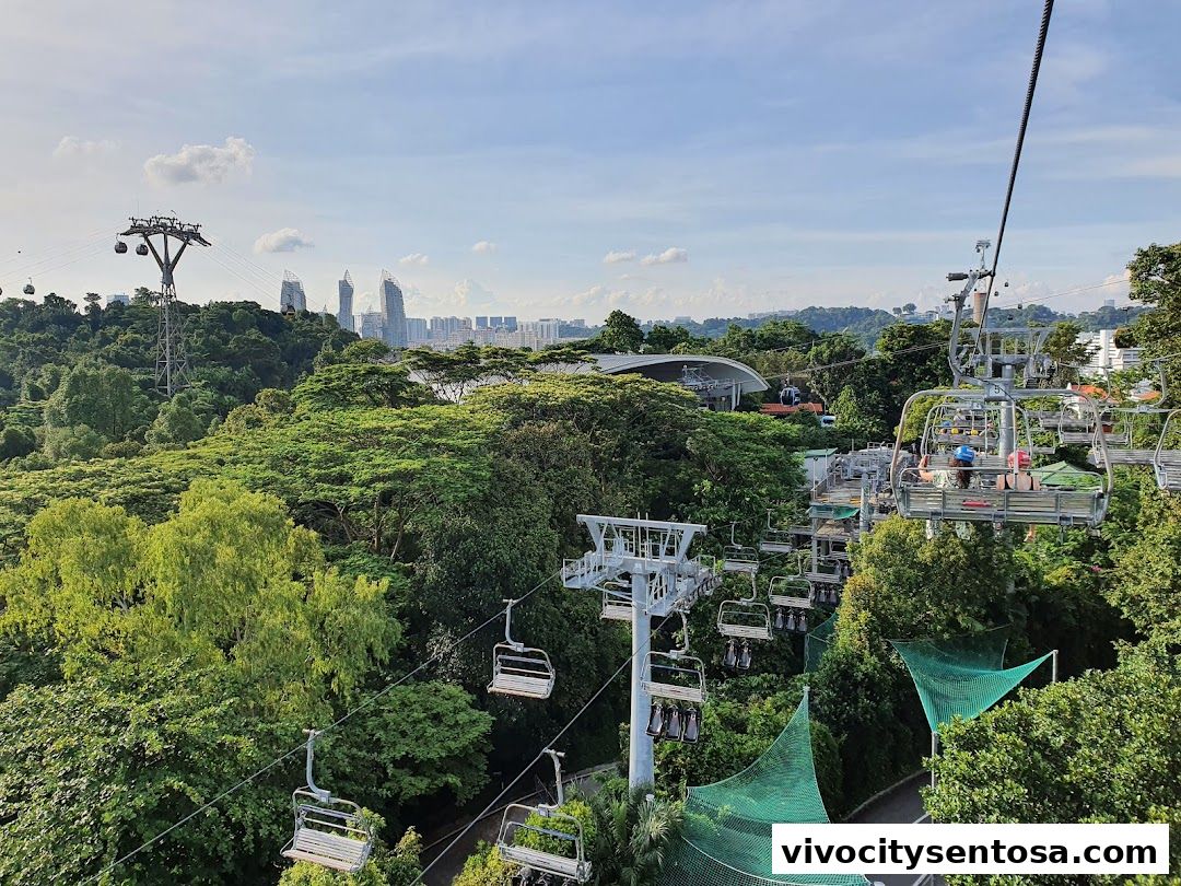 Skyline Luge Singapore