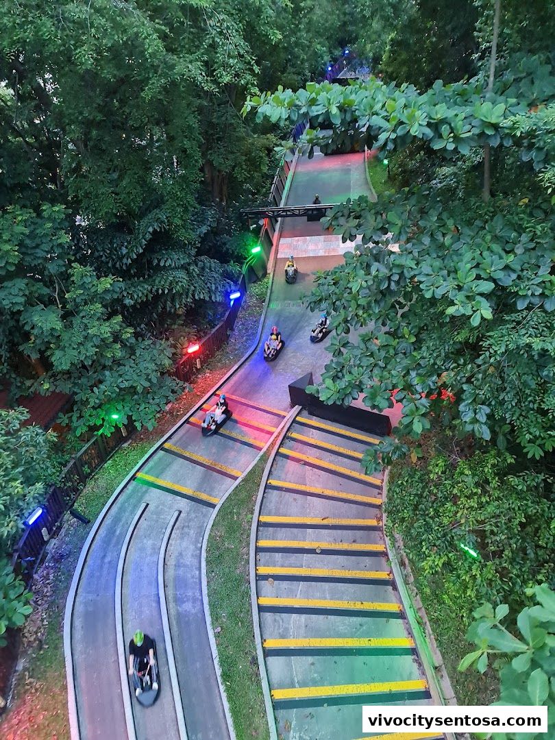 Skyline Luge Singapore