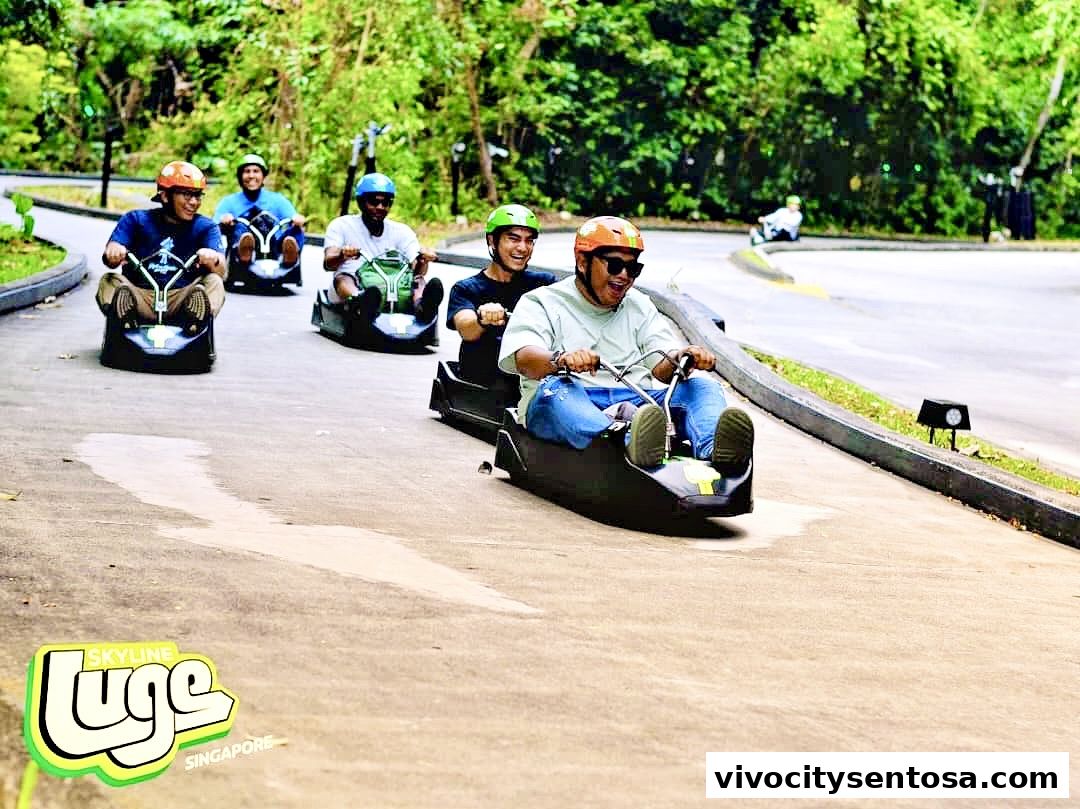 Skyline Luge
