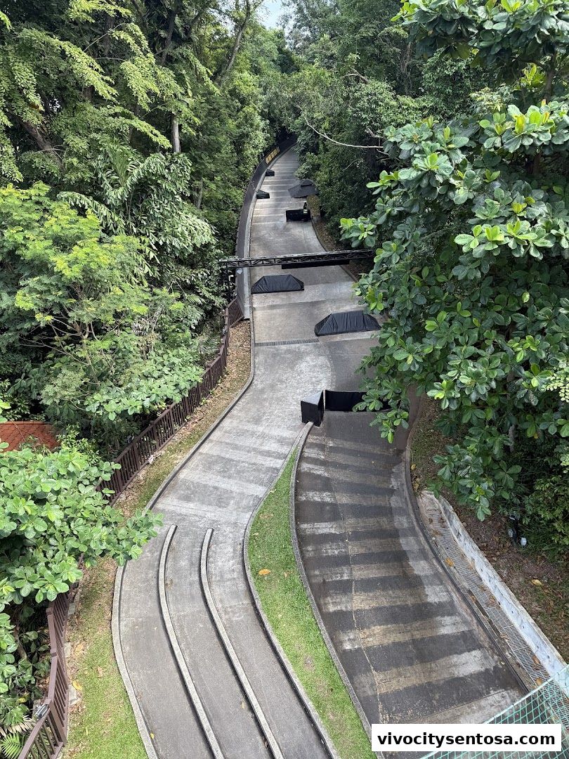 Skyline Luge