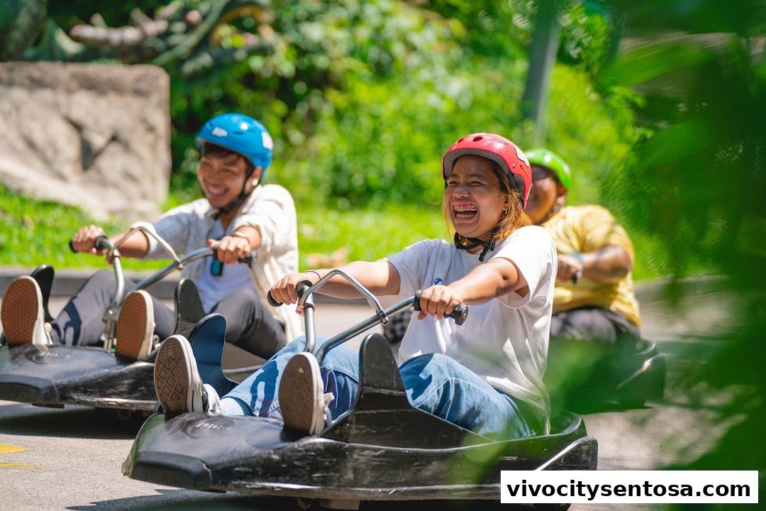 Skyline Luge
