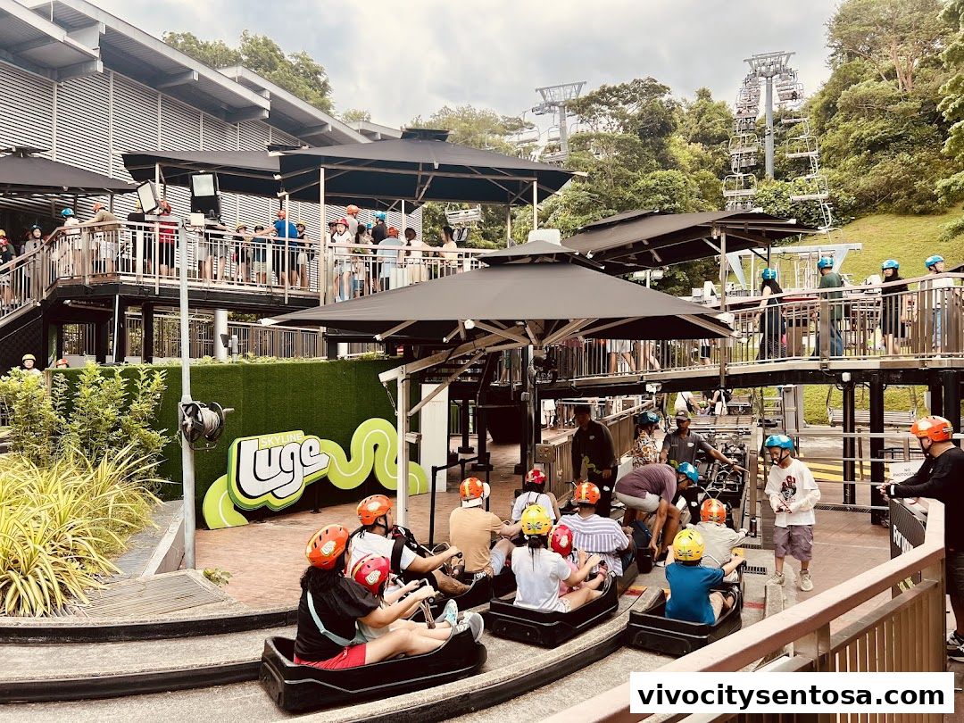 Skyline Luge