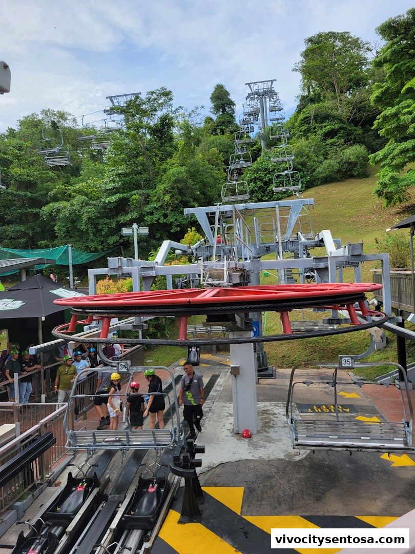 Skyline Luge