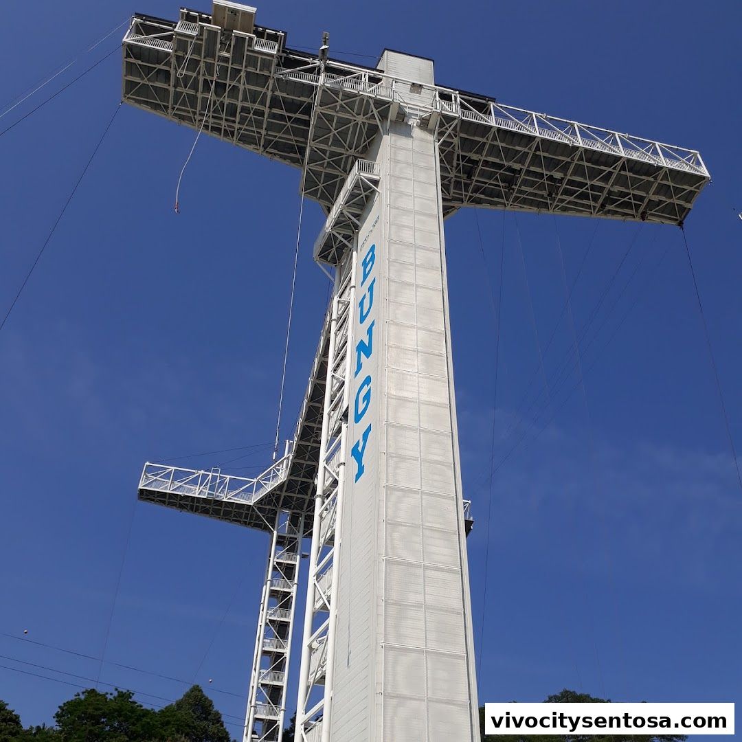 Skypark Sentosa by AJ Hackett