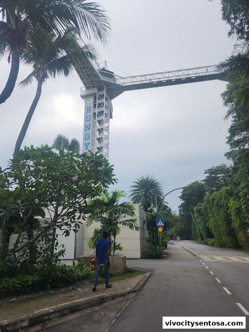 Skypark Sentosa by AJ Hackett