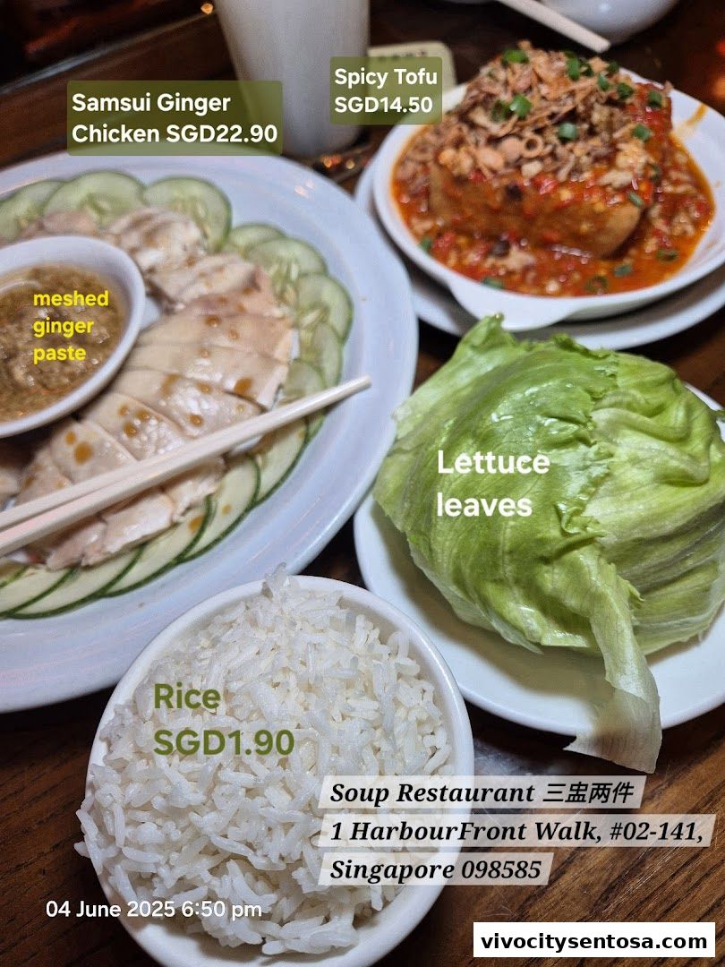 Soup Restaurant 三盅两件 - VivoCity