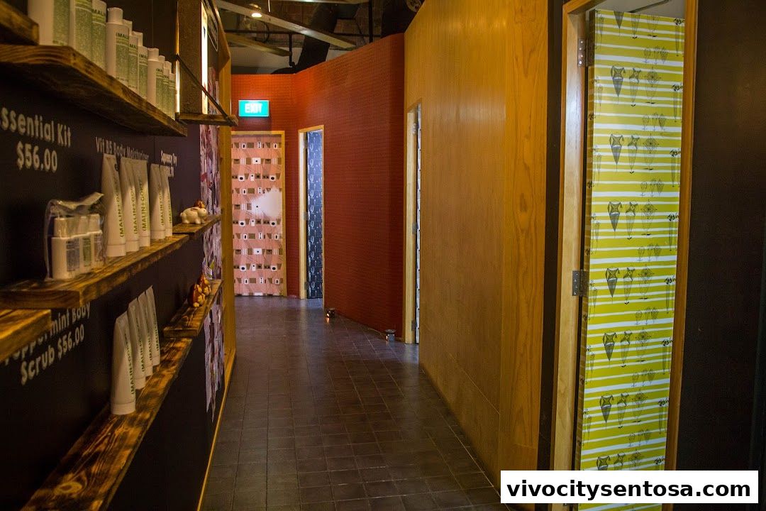 Strip Co-Ed Vivocity