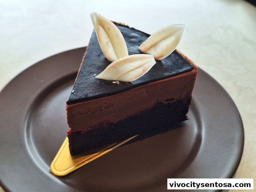 tcc - The Connoisseur Concerto  VivoCity