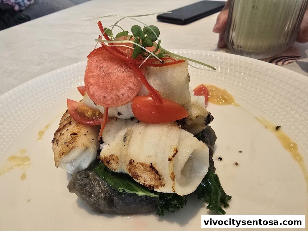 tcc - The Connoisseur Concerto  VivoCity