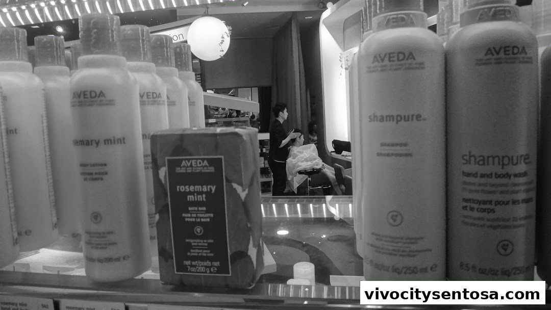 Team Salon  Vivocity Aveda
